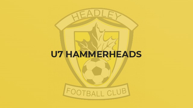 U7 Hammerheads