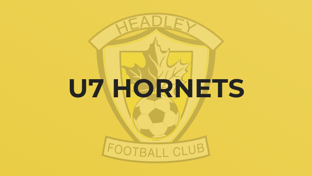 U7 Hornets