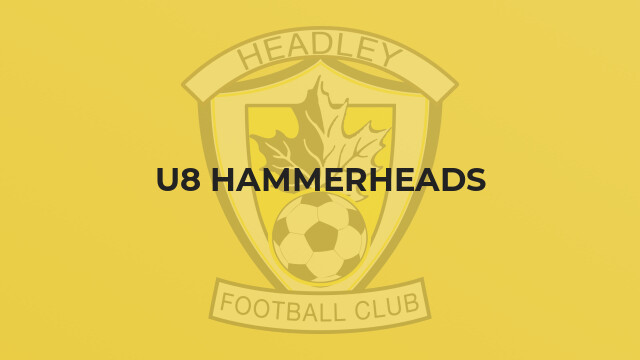 U8 Hammerheads