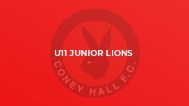 U11 Junior Lions