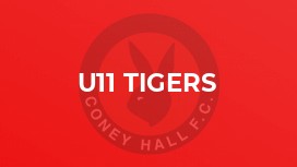 U11 Tigers