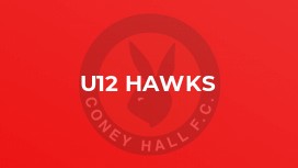 U12 Hawks