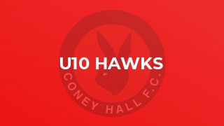 U10 Hawks