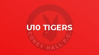 U10 Tigers