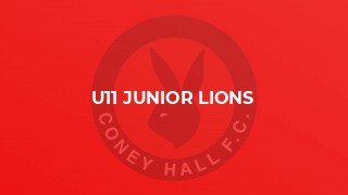 U11 Junior Lions