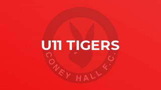 U11 Tigers