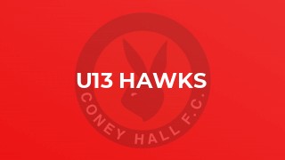 U13 Hawks