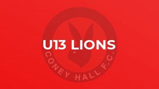 U13 Lions