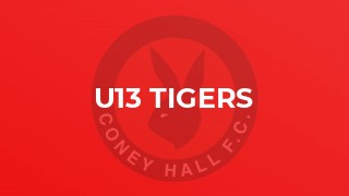 U13 Tigers