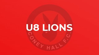 U8 Lions