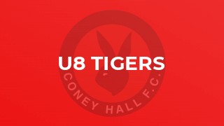 U8 Tigers