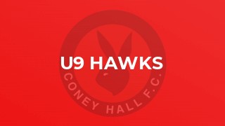 U9 Hawks