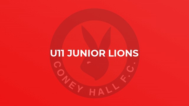 U11 Junior Lions