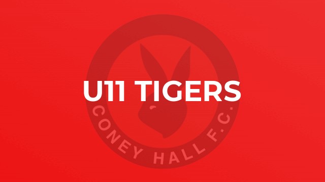 U11 Tigers