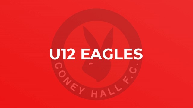 U12 Eagles