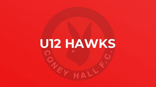U12 Hawks