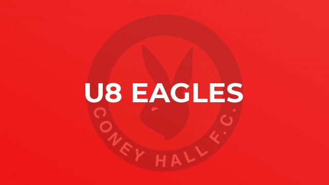 U8 Eagles