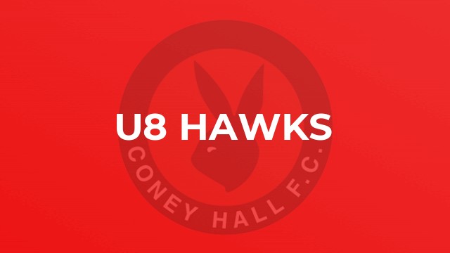 U8 Hawks