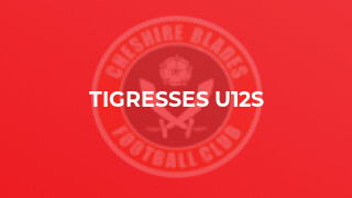 Tigresses U12s