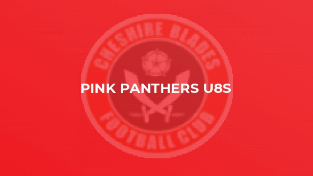Pink Panthers U8s