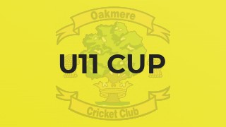 U11 Cup