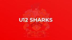 U12 Sharks