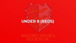 Under 8 (Reds)