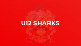 U12 Sharks