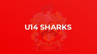 U14 Sharks