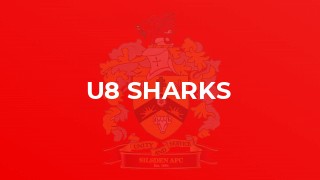 U8 Sharks