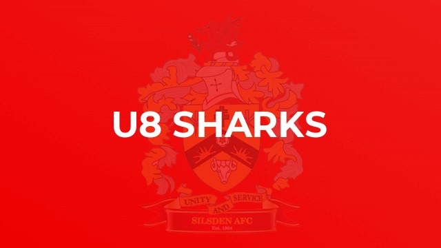 U8 Sharks