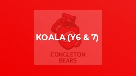 Koala (y6 & 7)