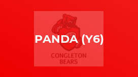 Panda (y6)