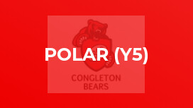 Polar (y5)