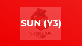 Sun (y3)