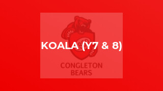 Koala (y7 & 8)