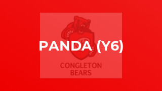 Panda (y6)