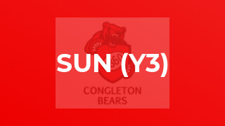 Sun (y3)