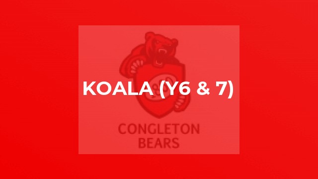 Koala (y6 & 7)