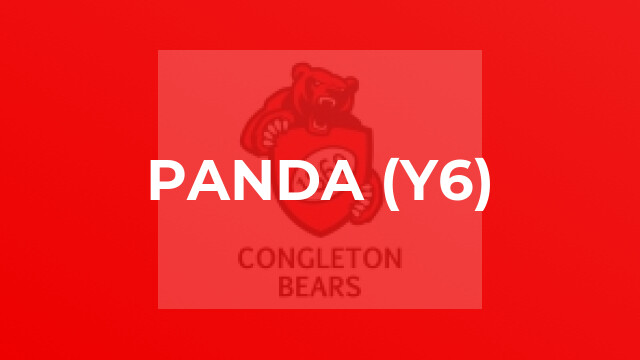 Panda (y6)