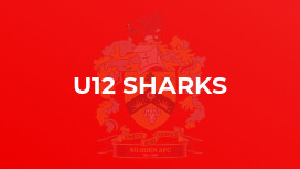 U12 Sharks