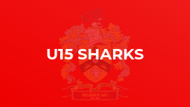 U15 Sharks