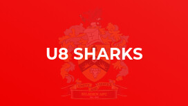 U8 Sharks