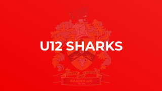 U12 Sharks