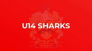 U14 Sharks