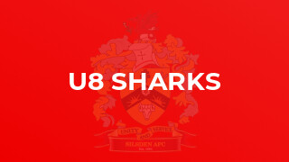 U8 Sharks