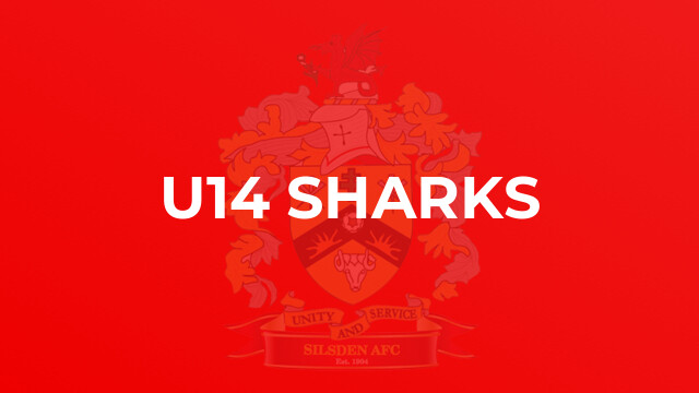 U14 Sharks