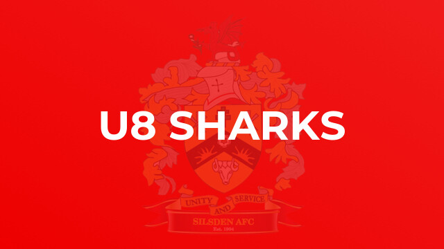 U8 Sharks