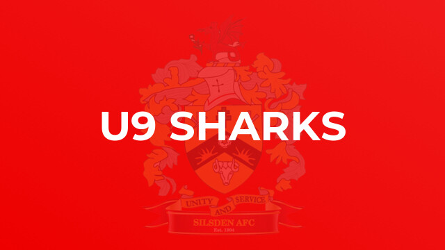 U9 Sharks