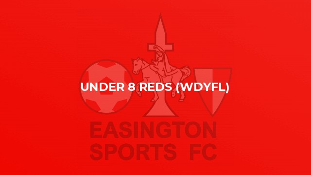 Under 8 Reds (WDYFL)